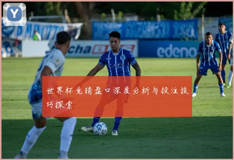 世界杯竞猜盘口深度分析与投注技巧探索
