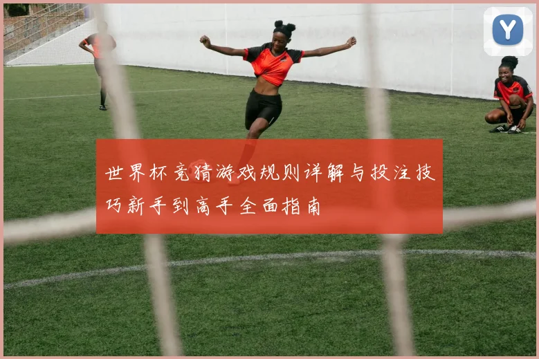 世界杯竞猜游戏规则详解与投注技巧新手到高手全面指南